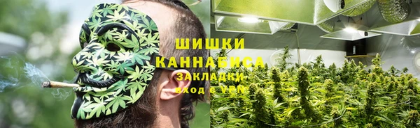 дмт Елизово