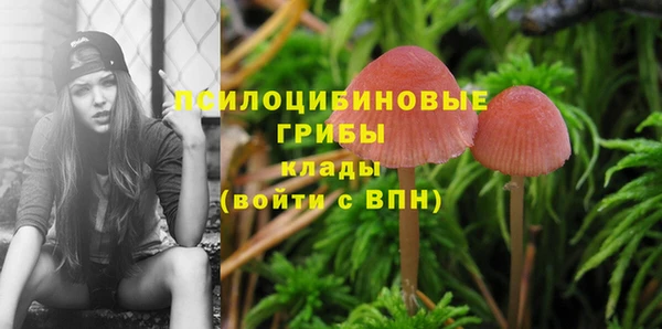 apvp Абинск
